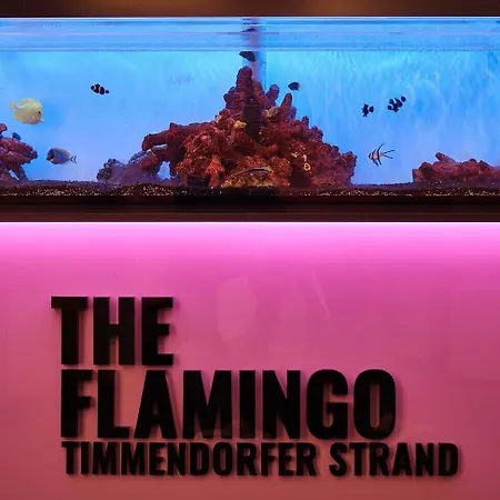 The Flamingo טימנדורפר שטרנד