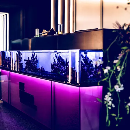 The Flamingo 4*