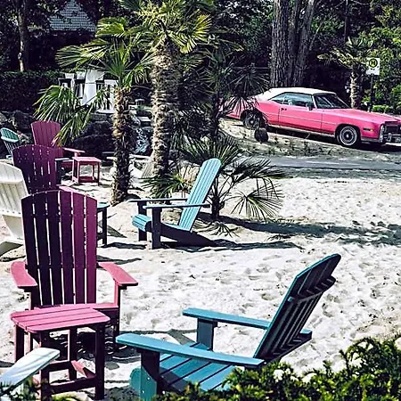 The Flamingo
