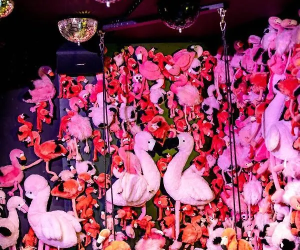 The Flamingo
